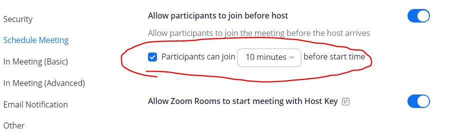 Zoom Settings to allow participants to share